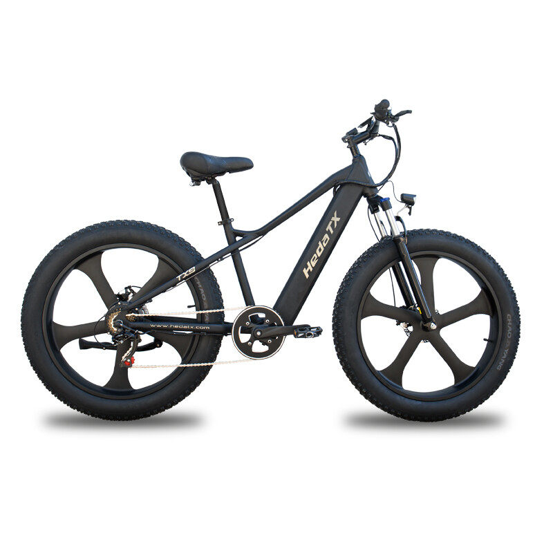 TX9 ELECTRIC FAT TIRE BIKE TX9 ELECTRIC FAT TIRE BIKE