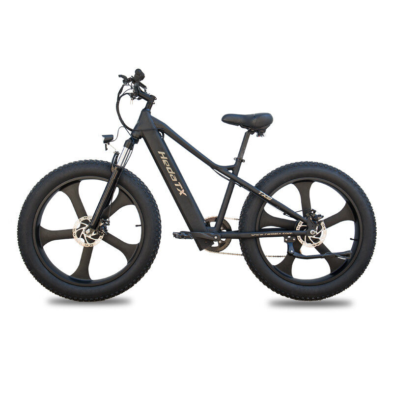 TX9 ELECTRIC FAT TIRE BIKE TX9 ELECTRIC FAT TIRE BIKE