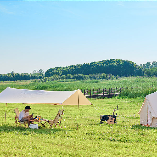 野生のキャンプに関するメモ