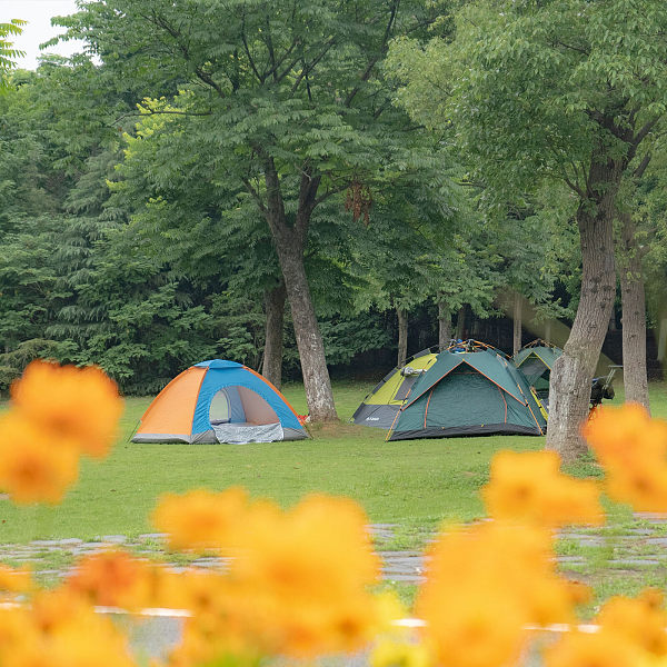 日本で最も人気のあるキャンプ場の4つ！