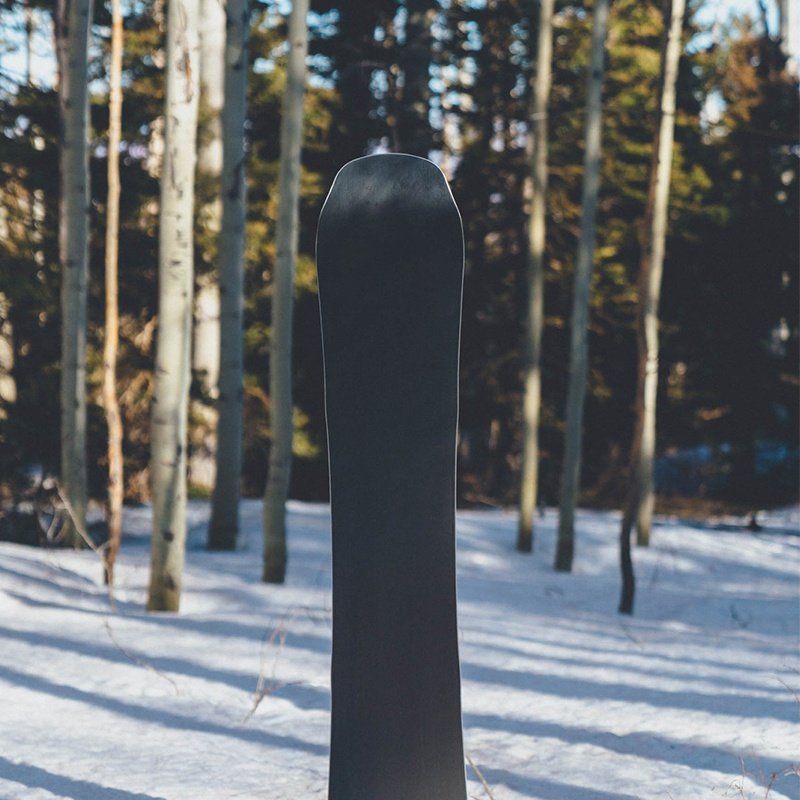 Adult professional skateboard Rocker Snowboard