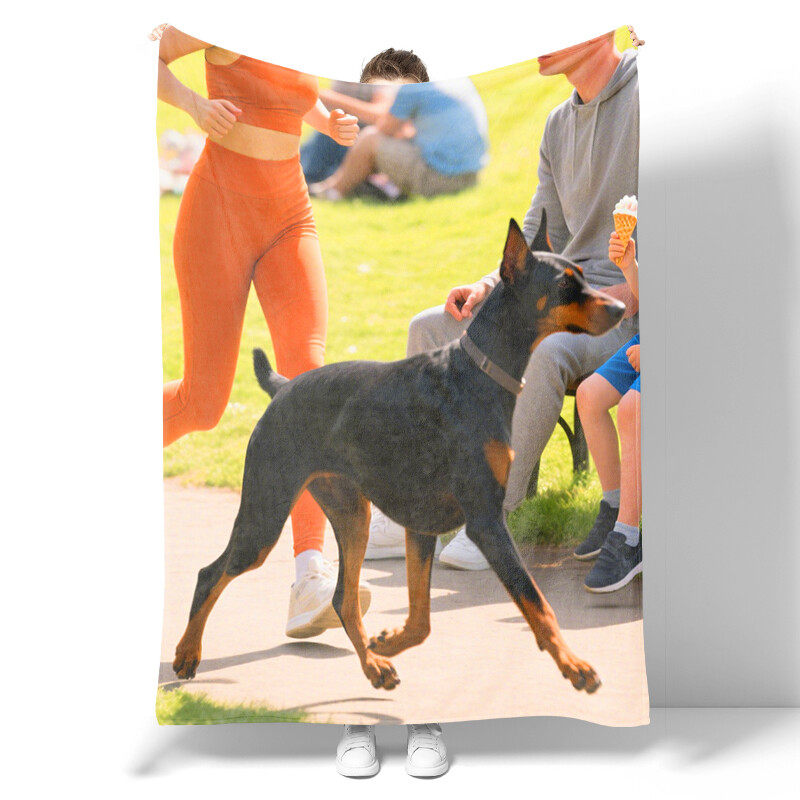 Cute animal and pet patterned blanket, a great gift for small animal enthusiasts. Soft and lightweight flannel blanket for children and adults