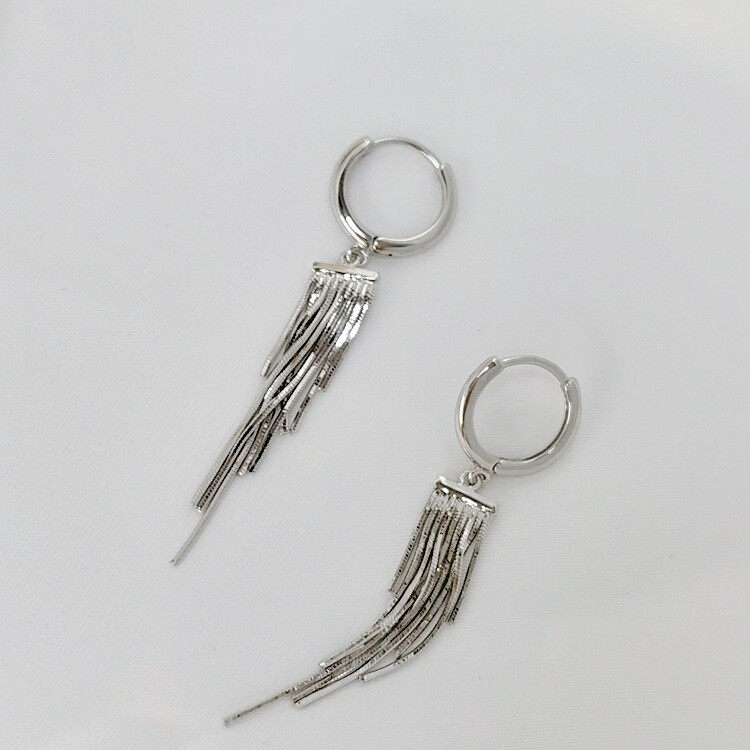 1pair Tassel Drop Earrings S925