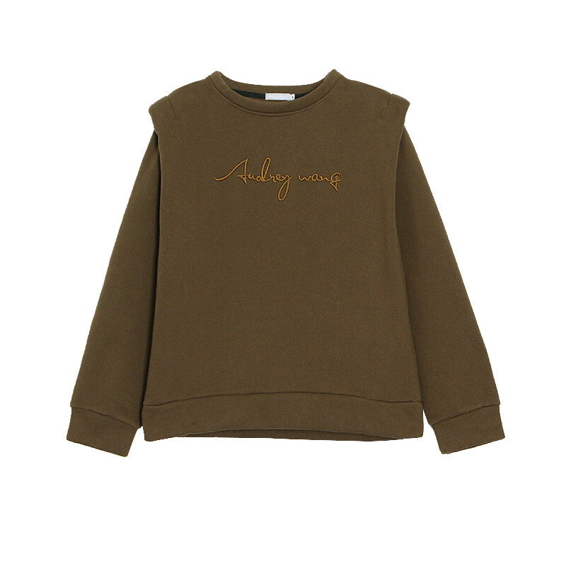 Solid  Long Sleeves   Pad Shoulder   Relaxed Sweat Shirt