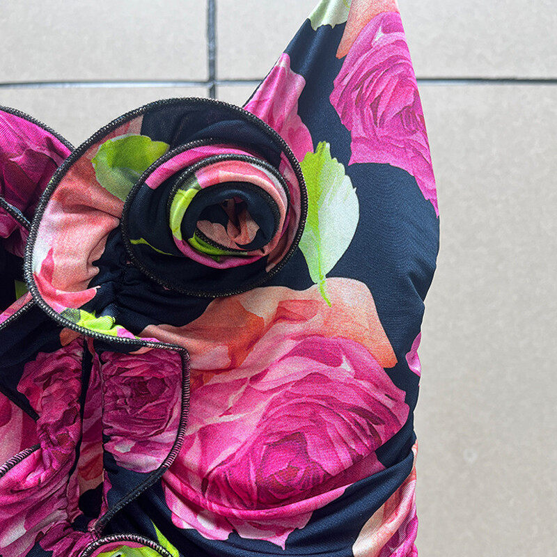 Printed Mesh Mini Dress