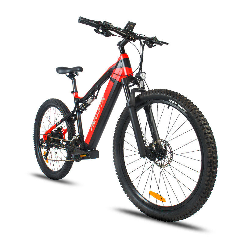 TX19 ELETRIC MOUTAIN BIKE