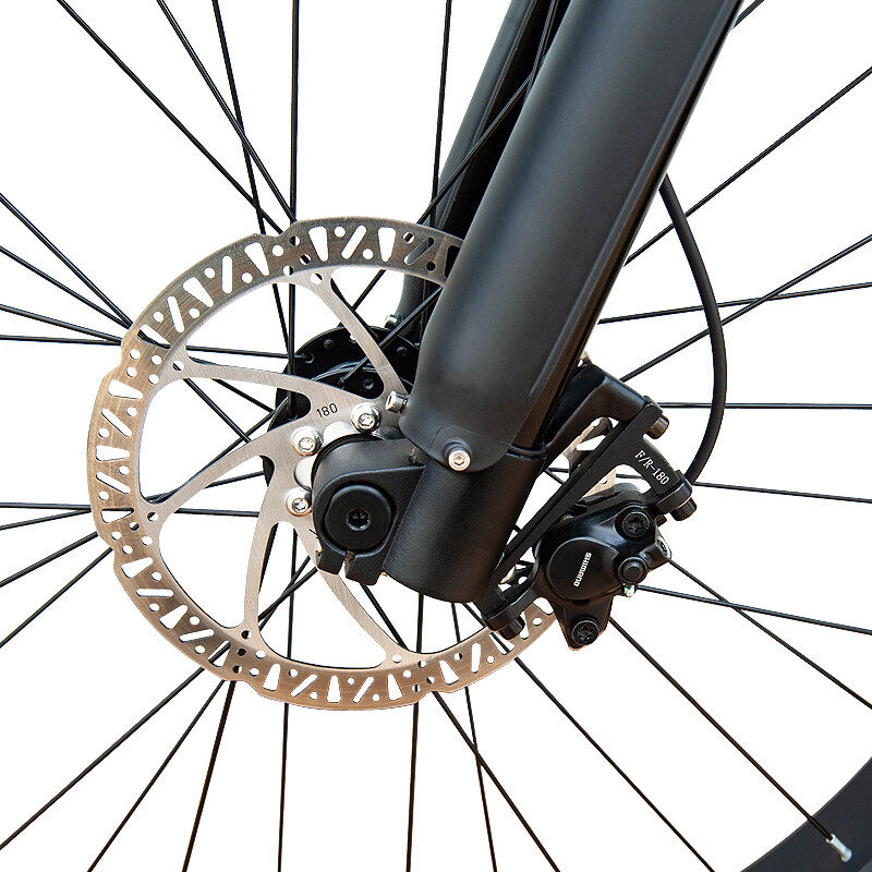 TX19Pro ELETRIC MOUTAIN BIKE