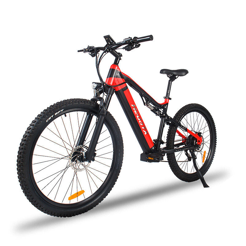TX19 ELETRIC MOUTAIN BIKE
